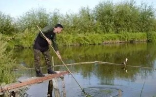 鱼塘补单操作详解，提升鱼塘效益的关键步骤
