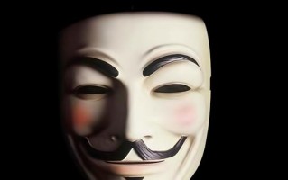 新手入门首选，探索适合新手的放单平台