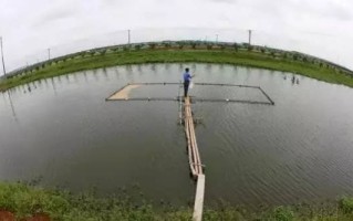 鱼塘补单操作详解，打造高效鱼塘管理新策略