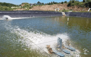 鱼塘平台补单安全措施详解