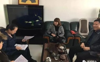 淘宝活动报名技巧，如何提升成功率与获得更多曝光