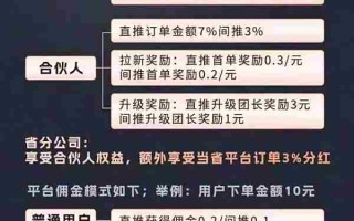 专业放单网站收费多少，深度解析接单平台的费用结构