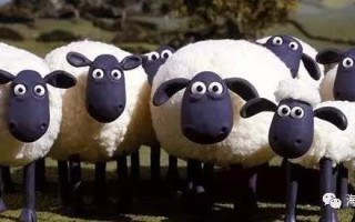 放单服务平台的崛起与未来发展