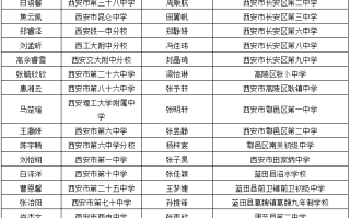 探索优质平台，补单的安全港湾