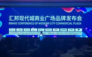 放单大平台推荐，探索现代商业模式的无限可能