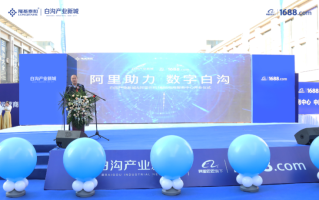 优质补单平台，助力电商业务腾飞的关键要素