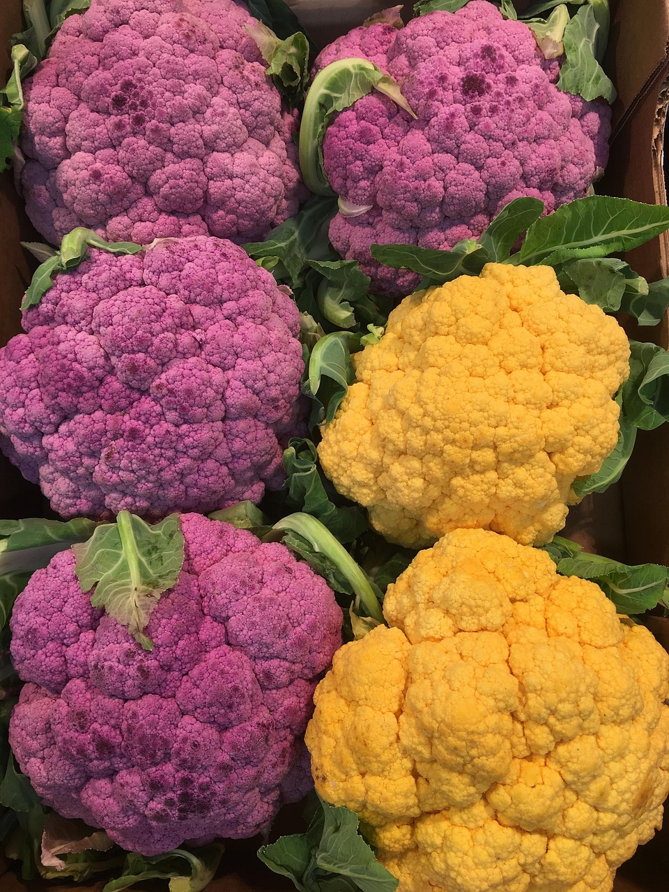 美白食物排行榜2025特别新排名前十名分析