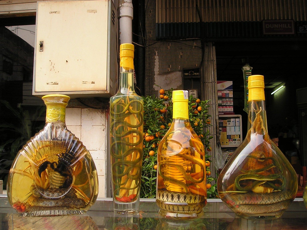 世界十大啤酒品牌排行2025年排名前十名榜单出炉