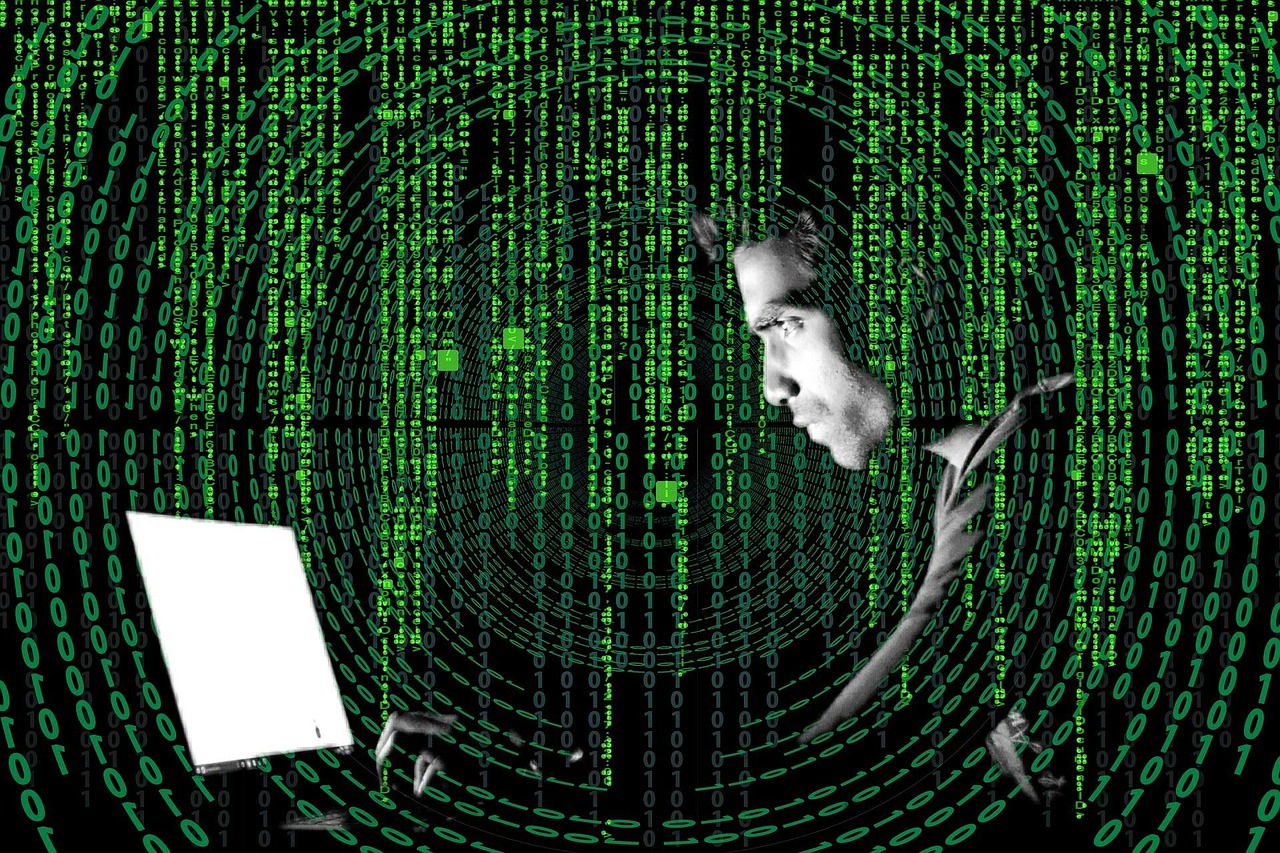 世界上特别稀有的八大名龟2025年排名前十名榜单出炉