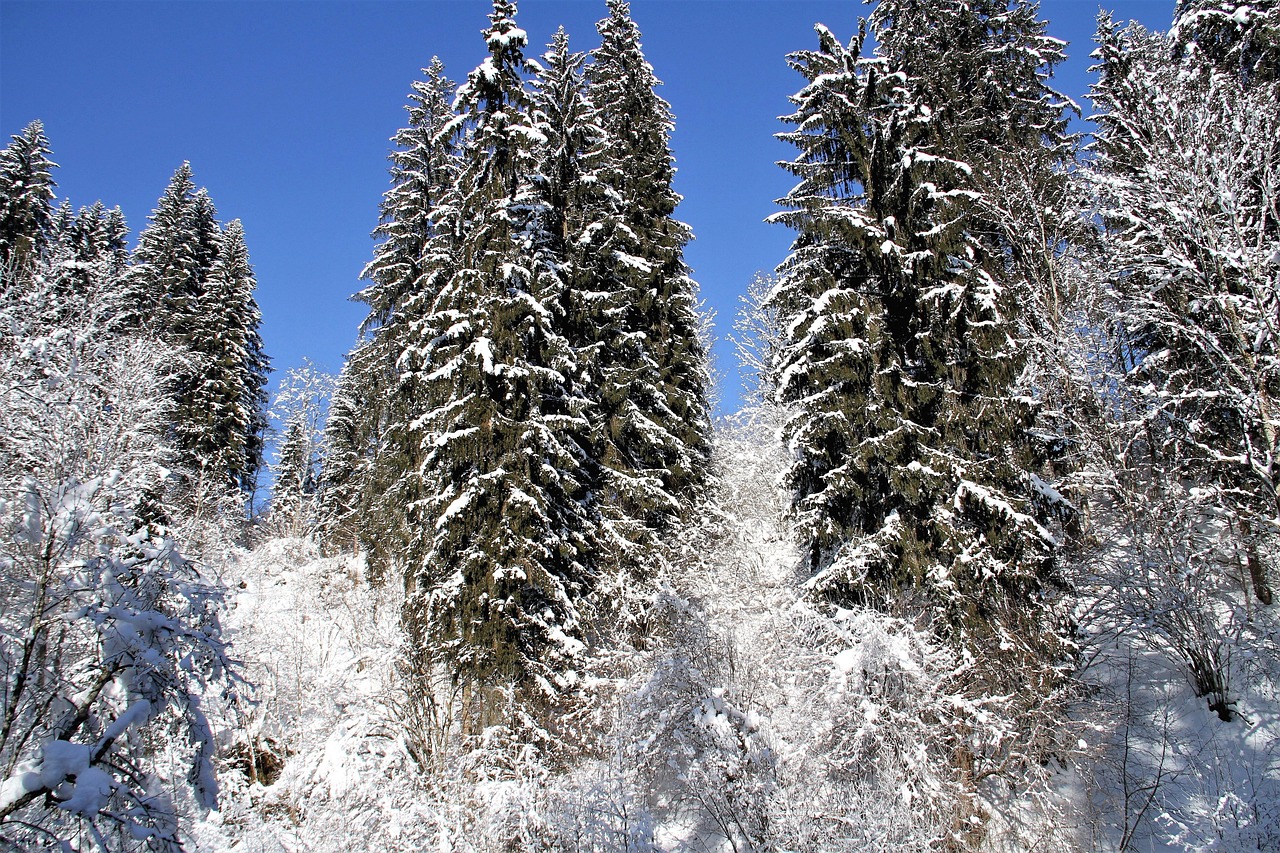 黄鹤楼雪之景10号好抽吗 黄鹤楼雪之景10号口感评测
