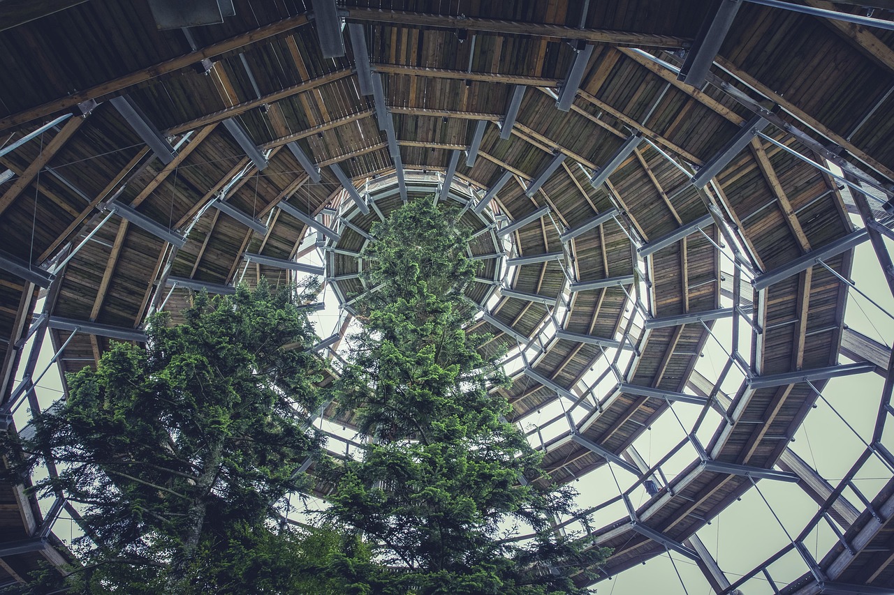 全球特别奇葩的建筑排行榜2025特别新排名前十名分析