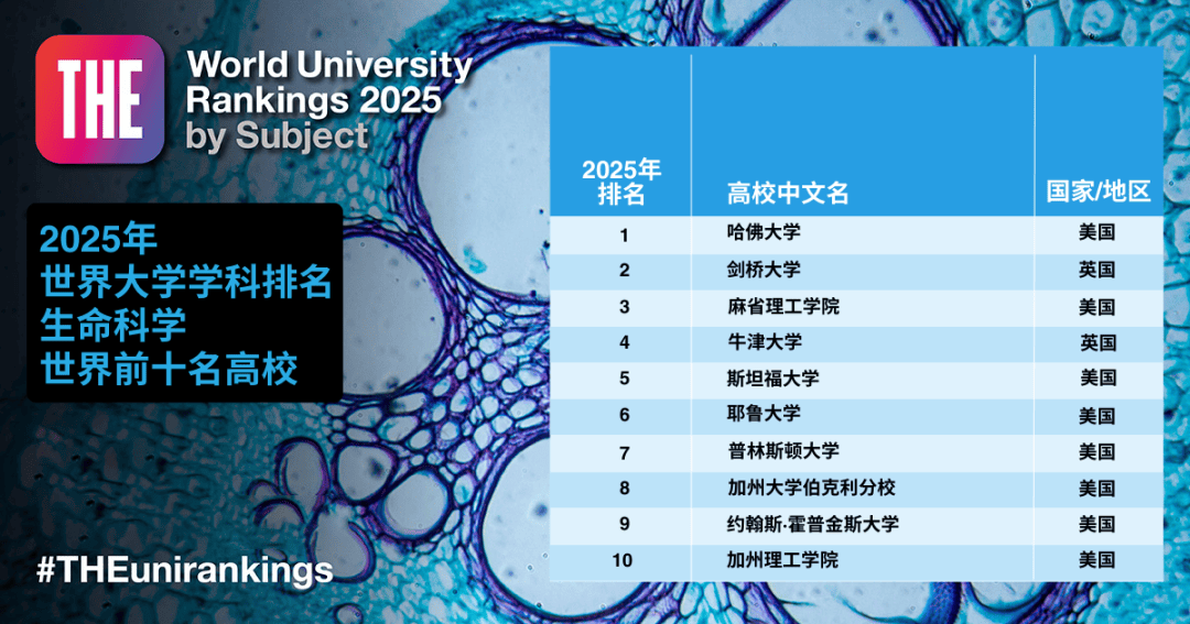 世界排名顶尖的专业2025特别新排名前十名分析