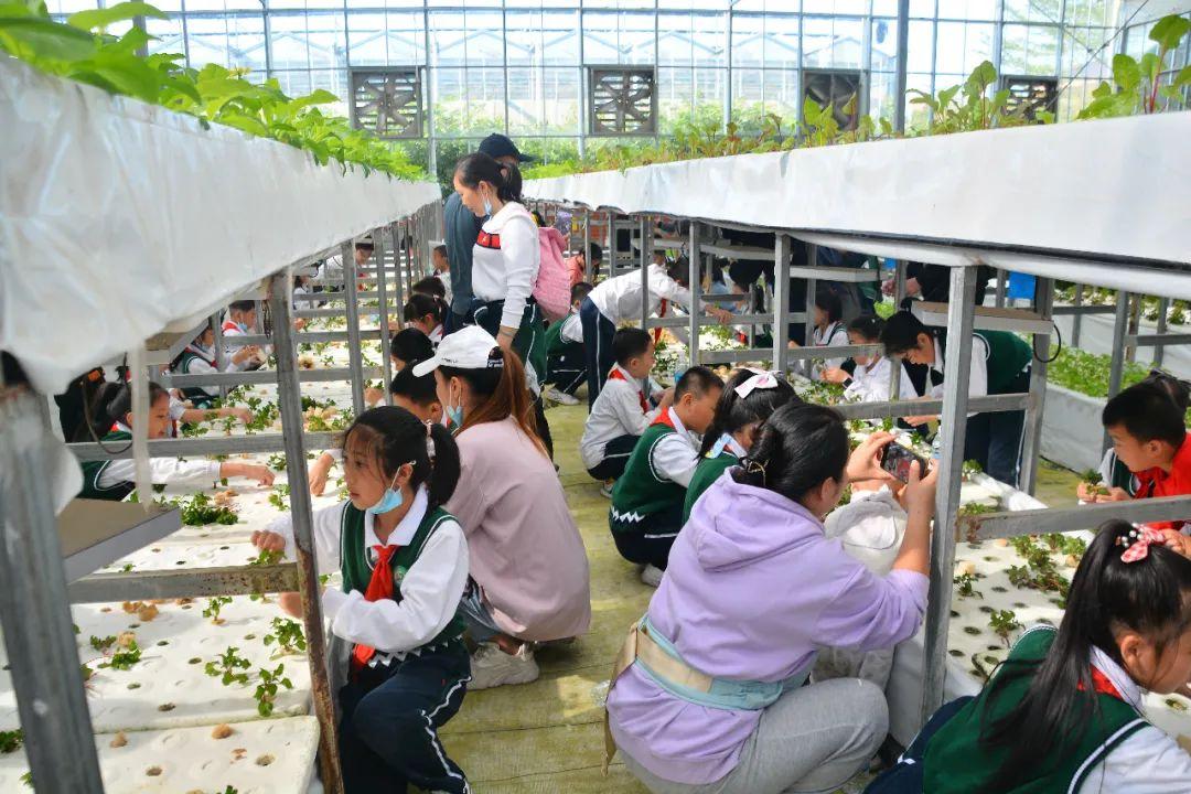 2021十大特别期待电视剧排行榜2025年排名前十名榜单出炉