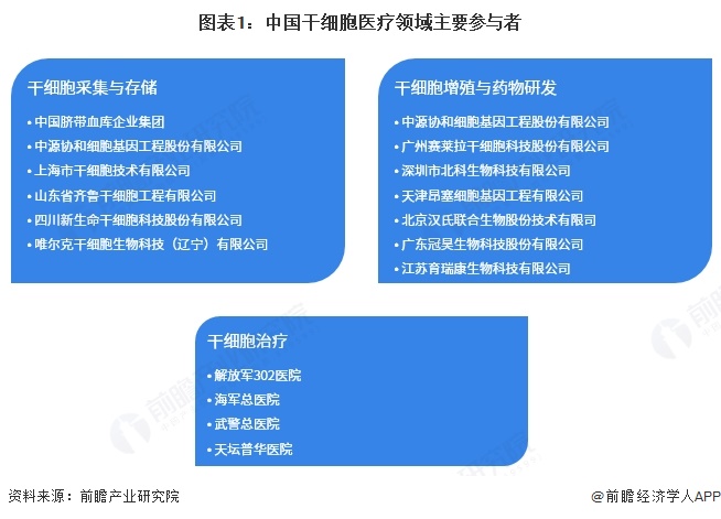 干细胞龙头股排行榜2025年排名前十名榜单出炉