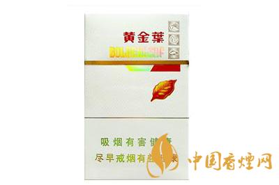 黄金叶金丝路怎么样 黄金叶金丝路好抽吗