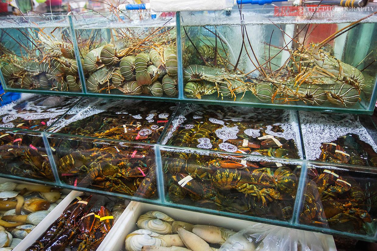 世界上特别贵的十大海鲜:蓝龙虾上榜2025年排名前十名榜单出炉