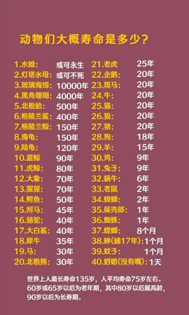 世界上寿命特别长的动物排行榜2025年排名前十名榜单出炉