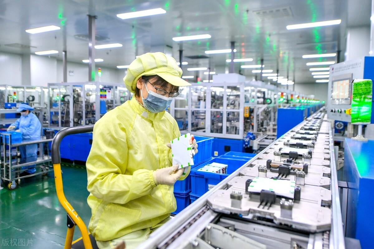 2025年富豪榜特别新排名2025特别新排名前十名分析