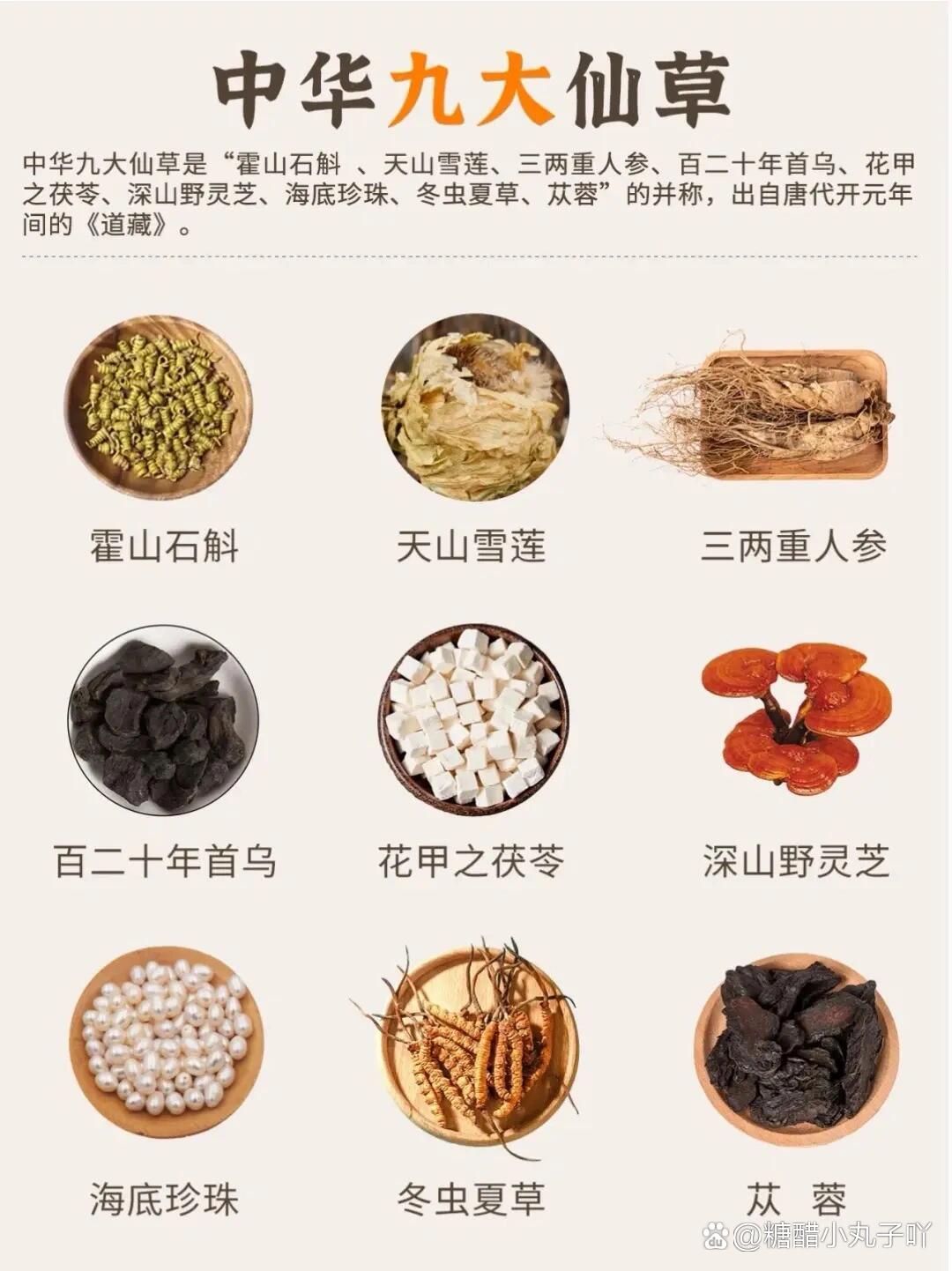 中国九大仙草排名2025年排名前十名榜单出炉
