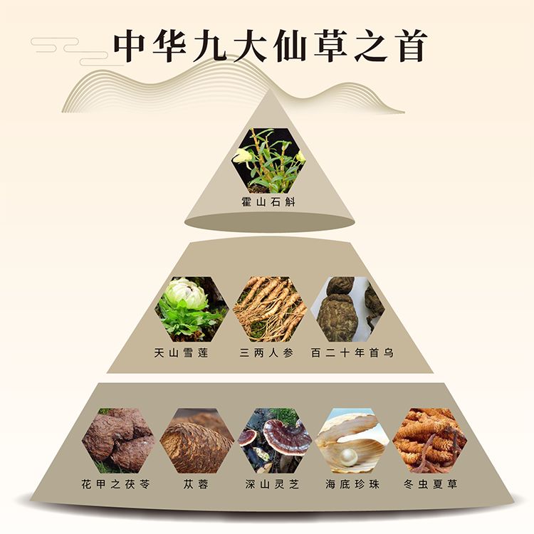 中国九大仙草排名2025年排名前十名榜单出炉