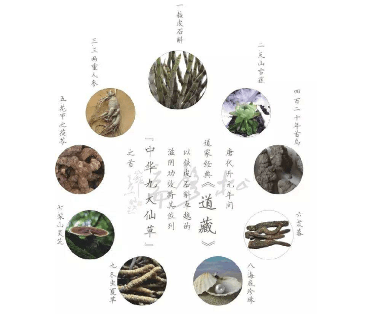 中国九大仙草排名2025年排名前十名榜单出炉