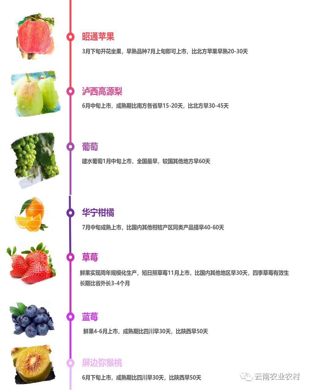 云南特别著名10种水果2025年排名前十名榜单出炉