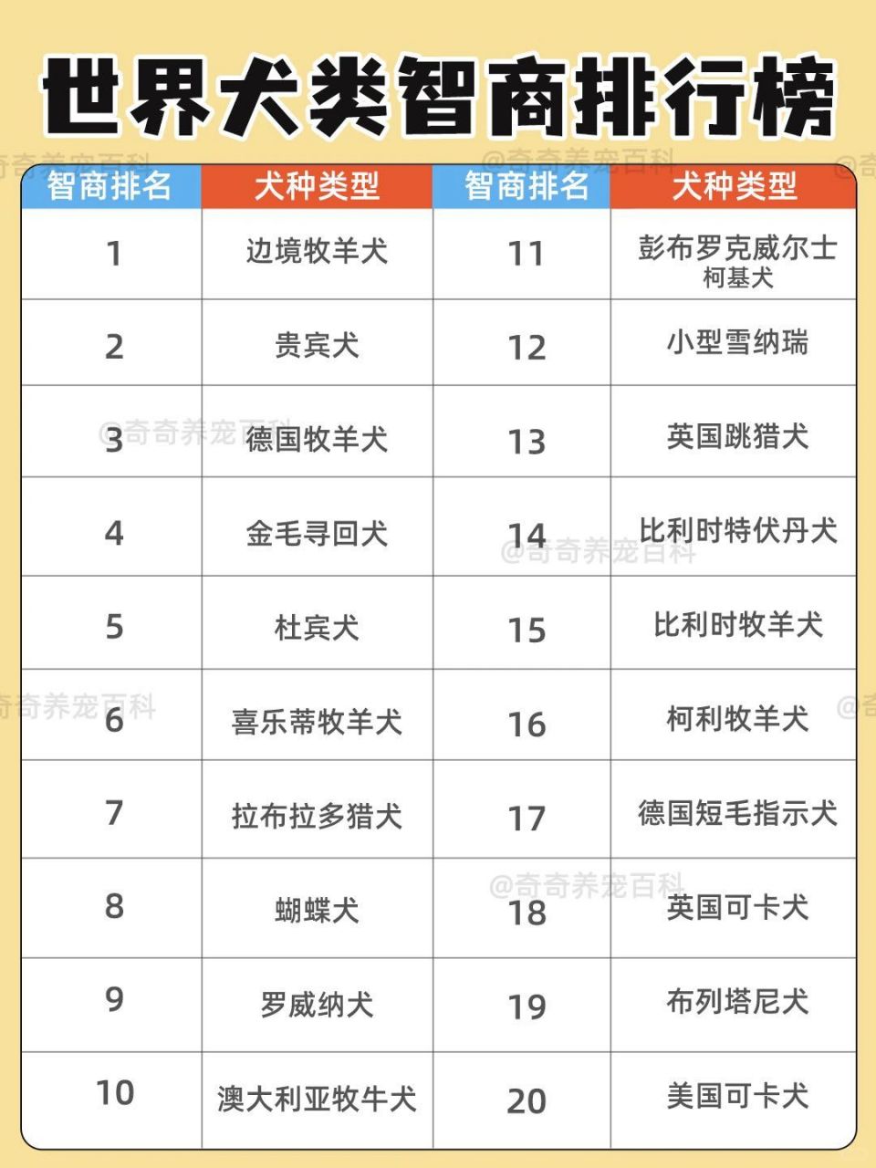 世界上特别大鲨鱼排行榜2025年排名前十名榜单出炉