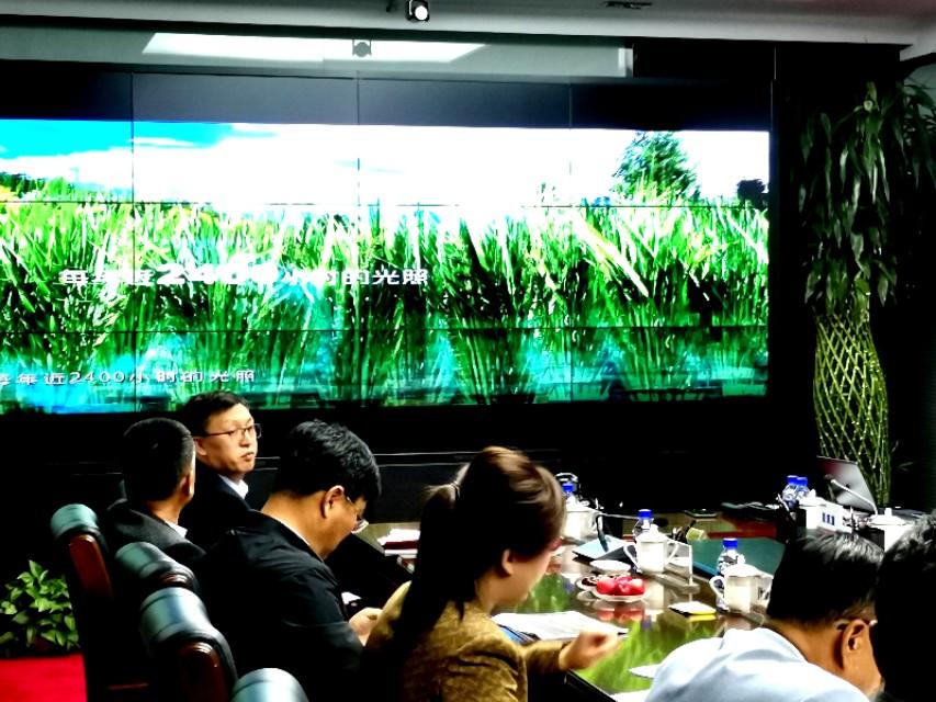 稀缺资源龙头股排行榜2025年排名前十名榜单出炉