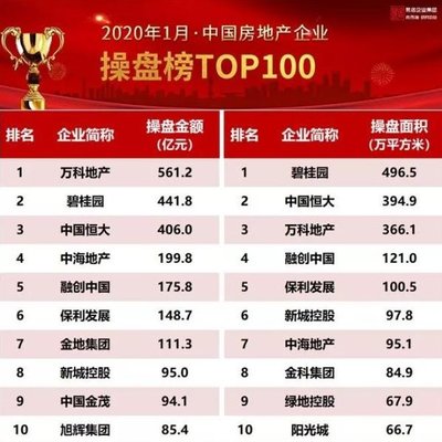 中国十大房产公司排行榜2025近期排名前十名分析