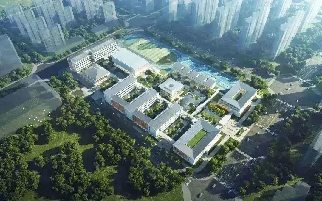 国内特别有钱的高校图书馆排行2025特别新排名前十名分析