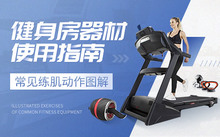 十大踏步机品牌—踏步机品牌排行榜2025年排名前十名榜单出炉