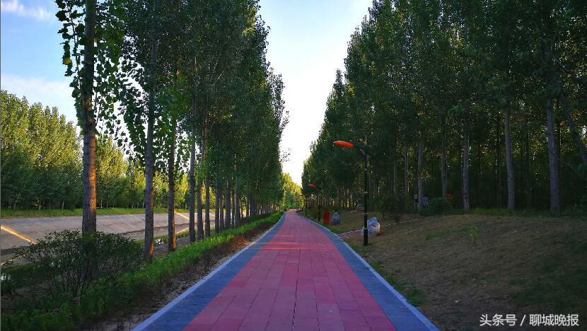 中国十大特别美城市公园2025年排名前十名榜单出炉
