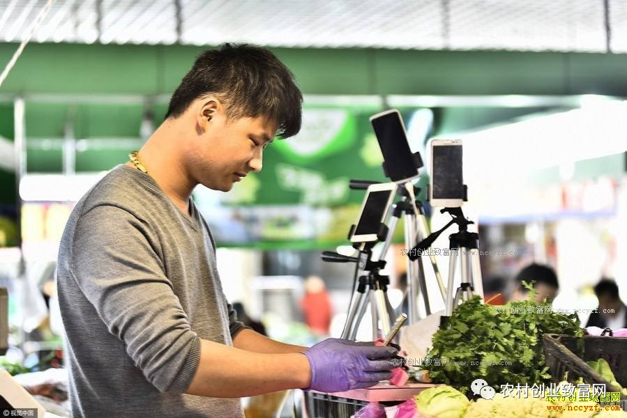大学生直播卖菜2025近期排名前十名分析