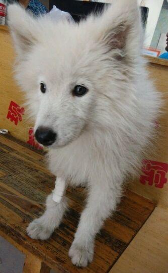 盘点价格低但经典的香烟