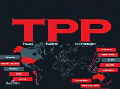美国退出tpp2025近期排名前十名分析