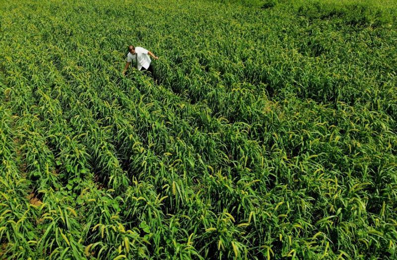 淘宝长尾词组合方法，深挖潜力，提升搜索流量