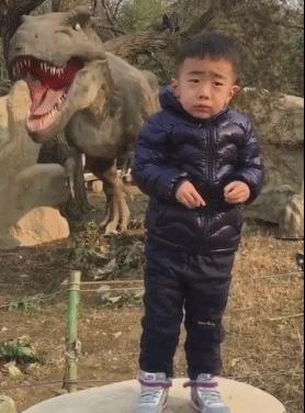 淘宝购物心得分享，如何轻松查看自己的好评率