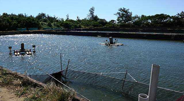 鱼塘平台补单安全措施详解
