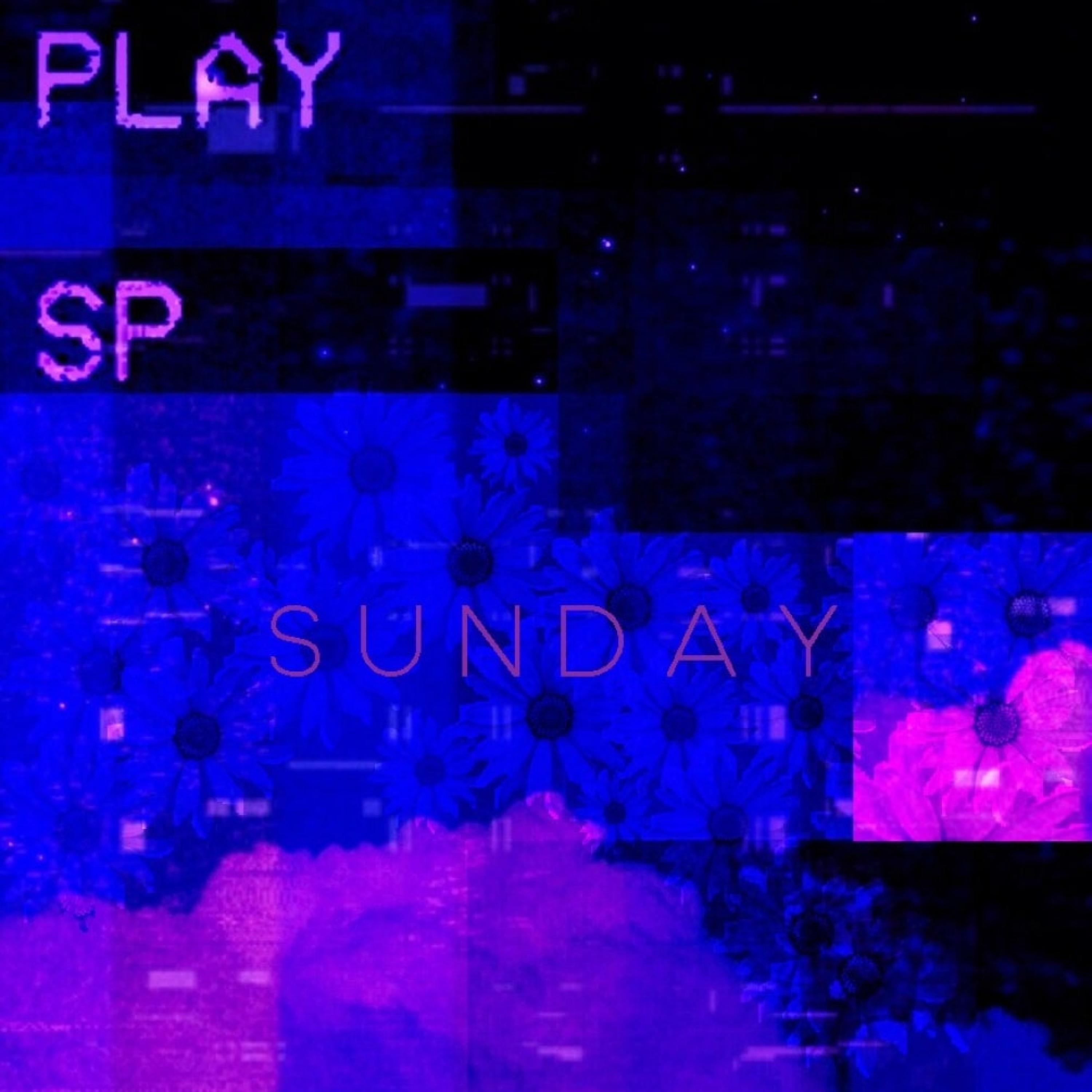 Sunday's2025近期排名前十名分析